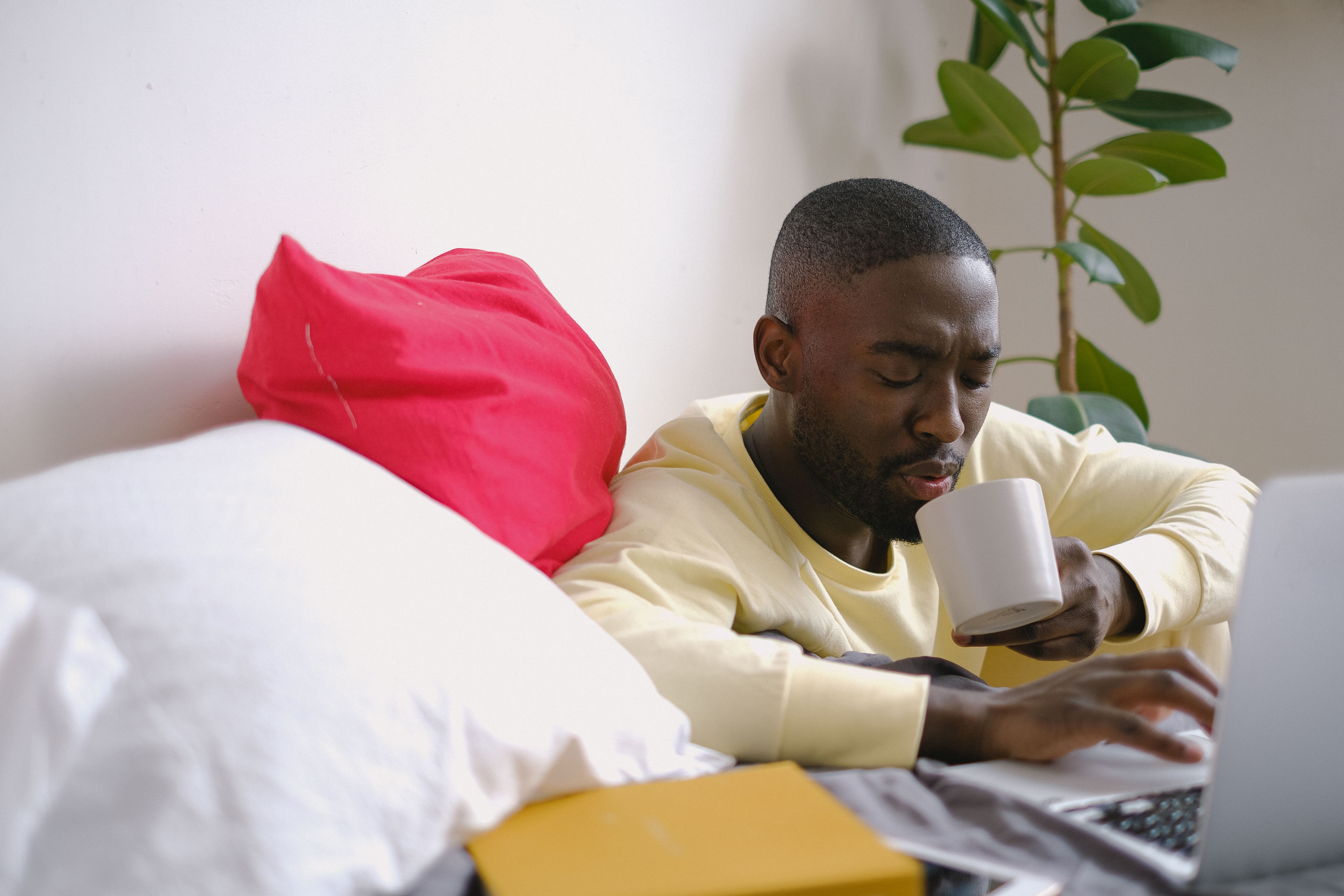 MOOCs and Their Contribution to Lifelong Learning - Observatory — Photo by SHVETS production on Pexels
