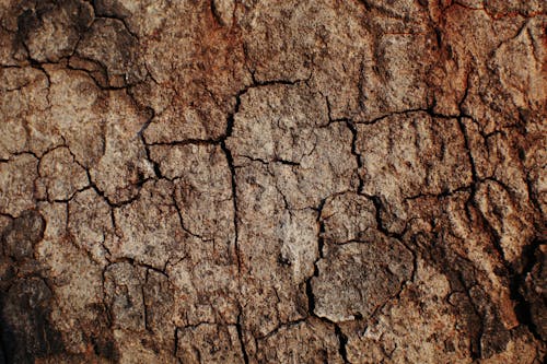 Full frame textured background of drought brown uneven surface with cracks in desert