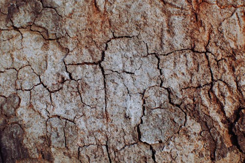 Full frame background of textured dry ground with cracks in lifeless arid terrain