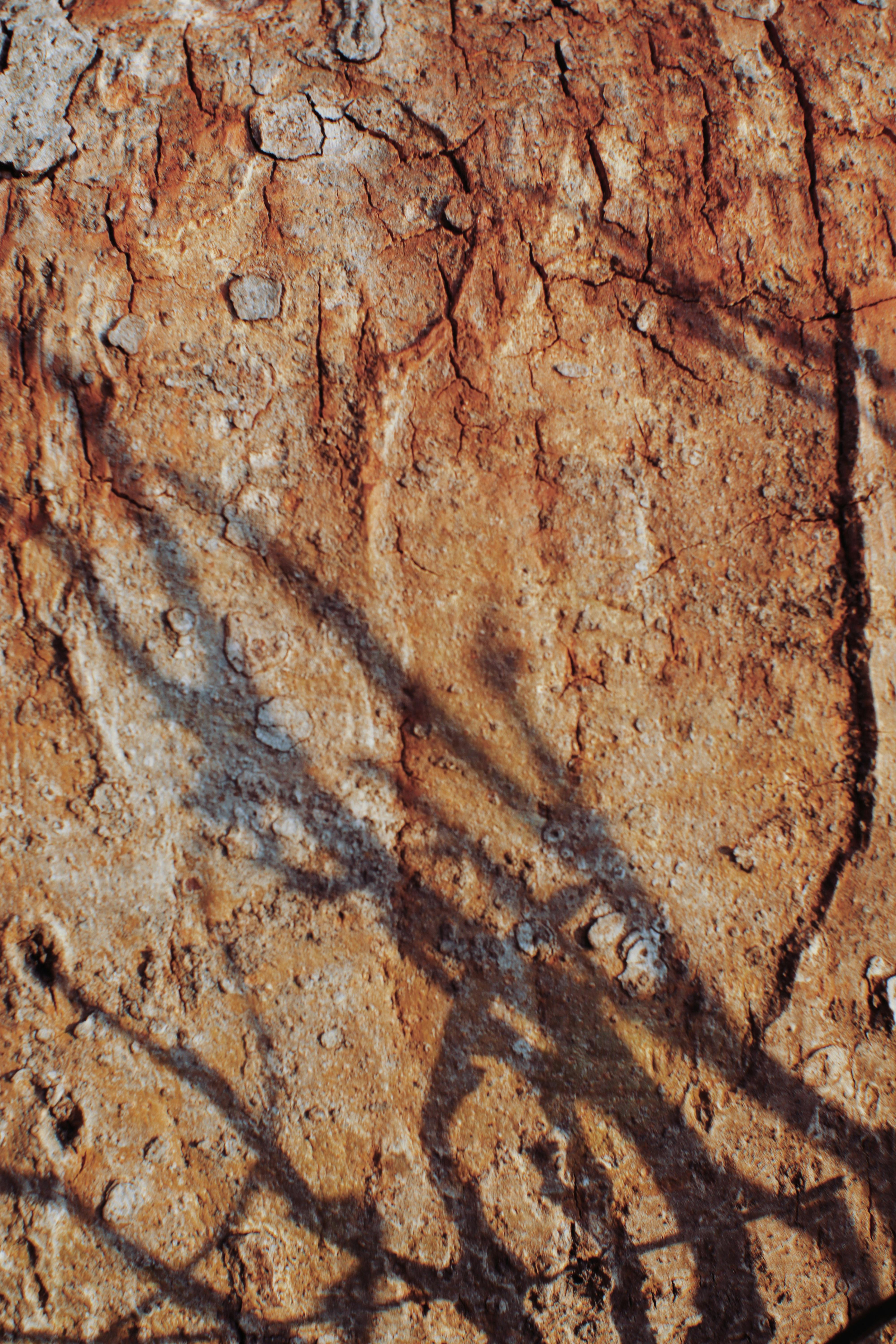 textured arid terrain with shadows in sunlight