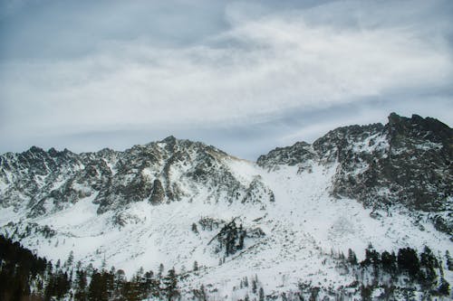 Imagine de stoc gratuită din acoperit de zăpadă, iarnă, înzăpezit