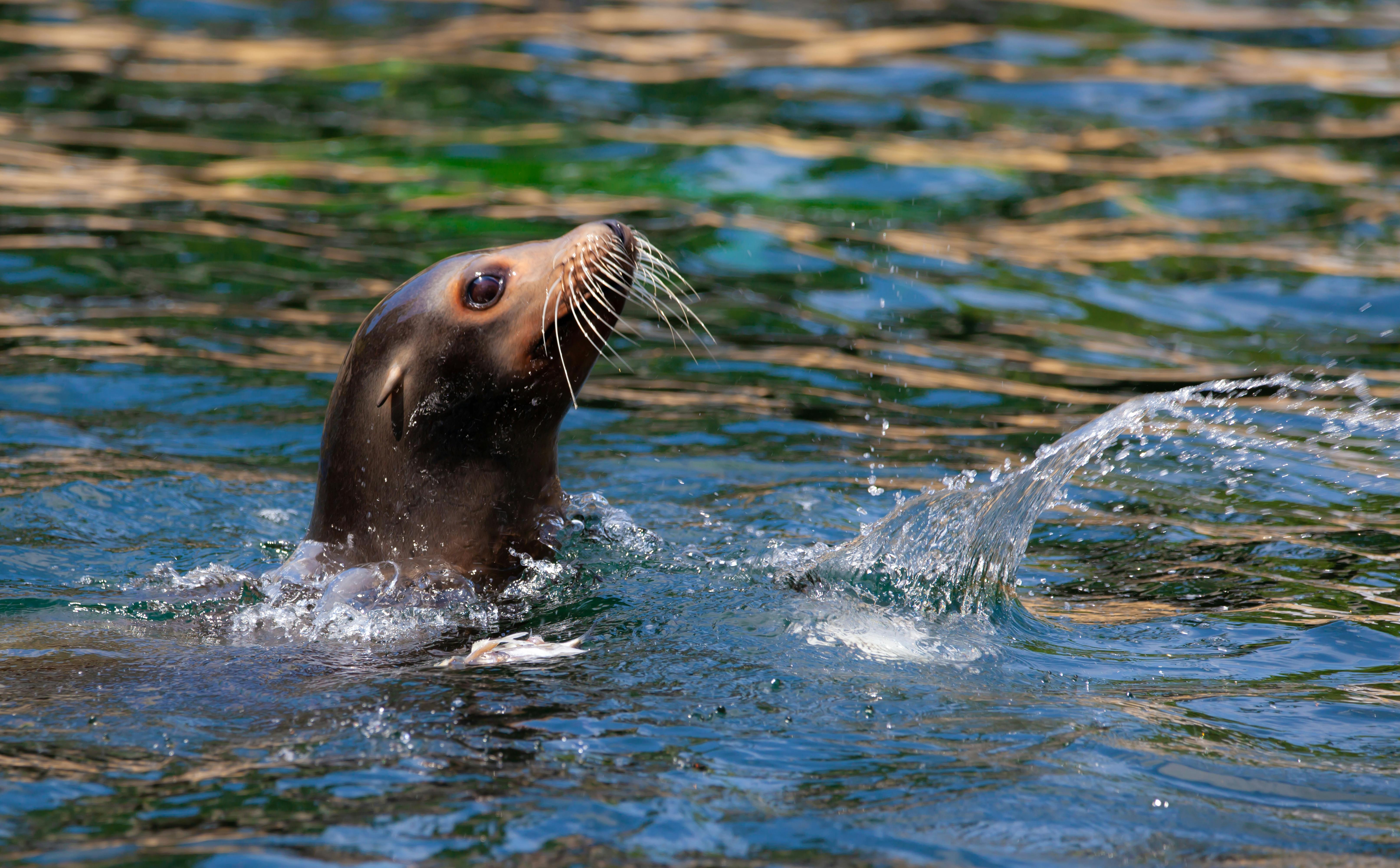 Military radar and missile defense systems