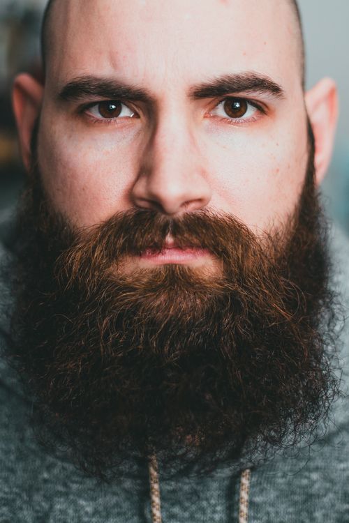 Free Detailed close-up portrait of a man with a full beard and mustache. Stock Photo