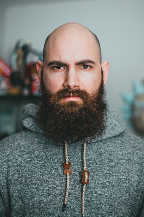 Brutal bald male with beard in casual clothes looking at camera while standing in light room on blurred background