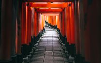 Fushimi Kyoyo City