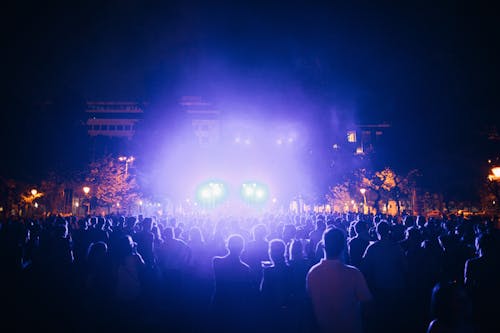 Crowd of People at a Concert 