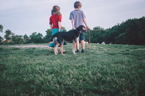 Photo of Kids with Dog on Grassfield