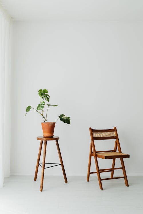 Brown Wooden Chair Beside Green Potted Plant