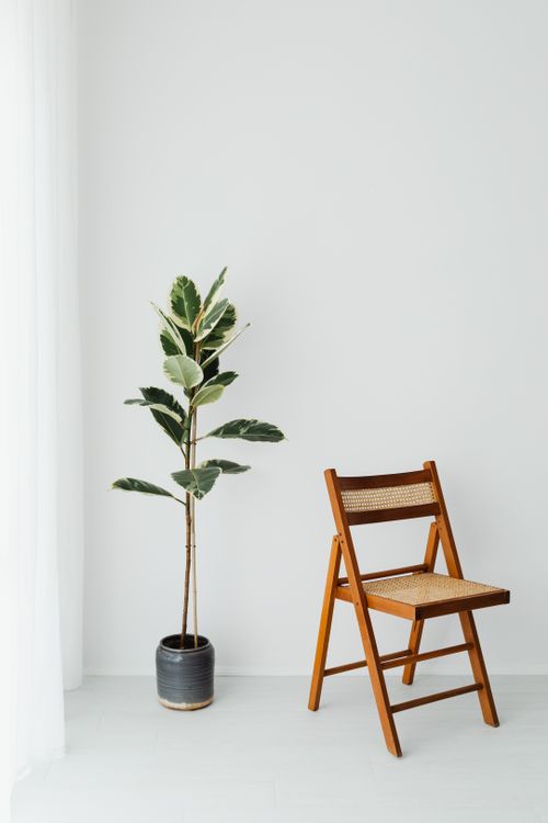 Free Simple interior scene showcasing a potted plant and wooden folding chair. Stock Photo