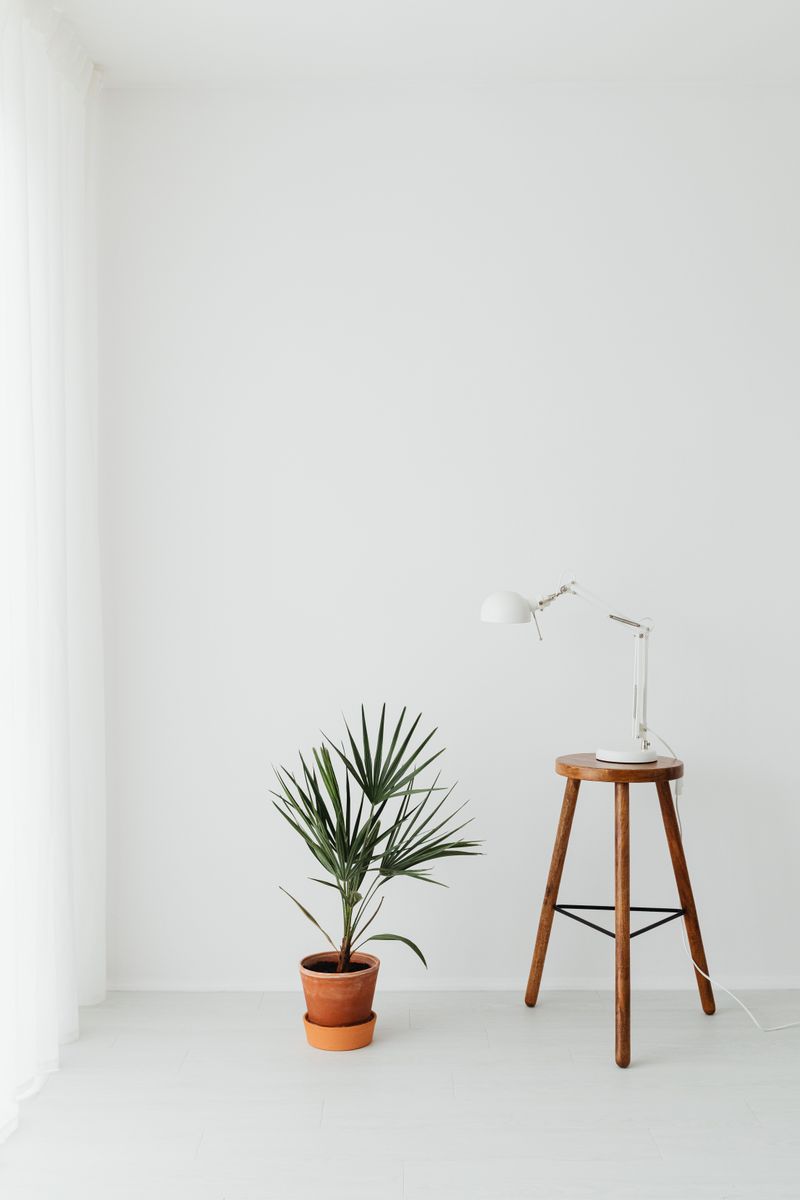 Elegant minimalist interior features a sleek desk lamp and a potted plant against white walls.