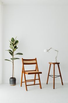 Elegant minimalist interior featuring wooden furniture and a potted plant against white walls.