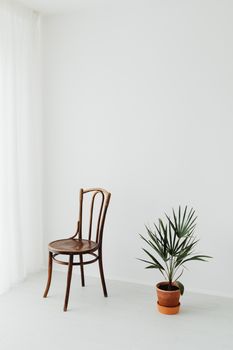 Elegant minimalist room featuring a wooden chair and a potted plant against white walls.