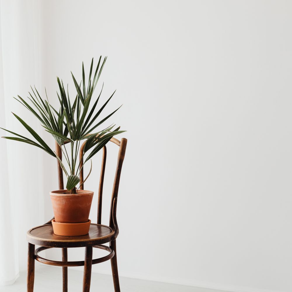 End of Tenancy Decorating in Islington — walls rolled to an even, flat finish