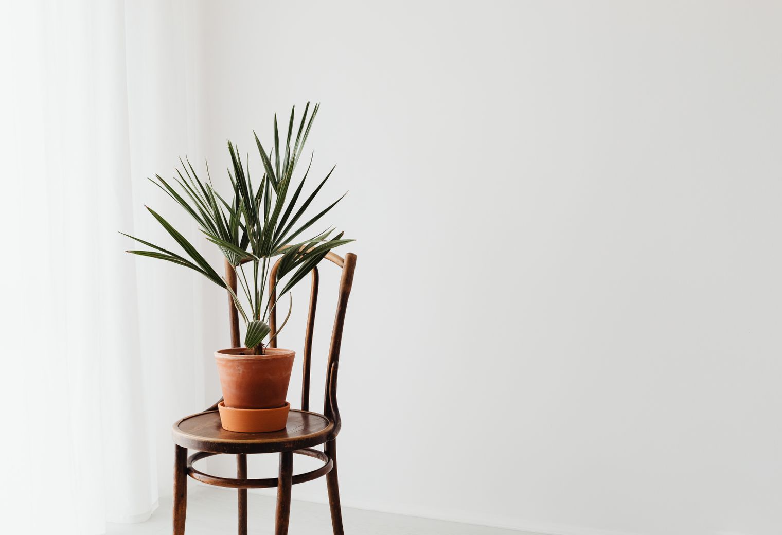 End of Tenancy Decorating in Single Street — quality trade paint going on in two coats