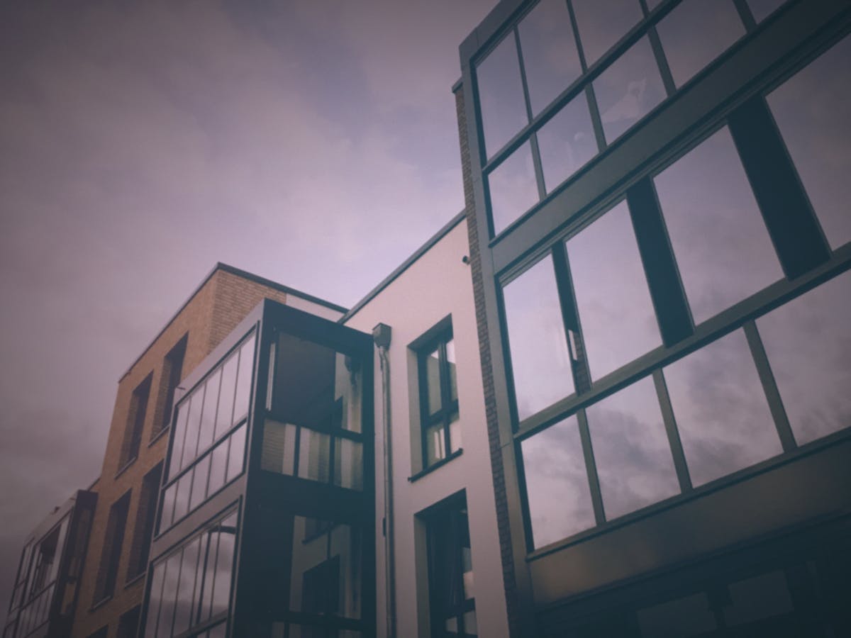 Close-up of various fresh and dried mushrooms laid out on a rustic surface