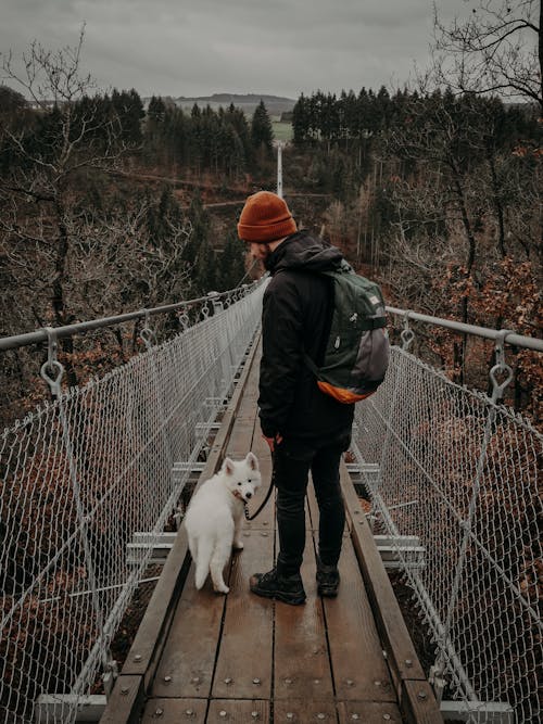 Základová fotografie zdarma na téma anonymní, bariéra, batoh