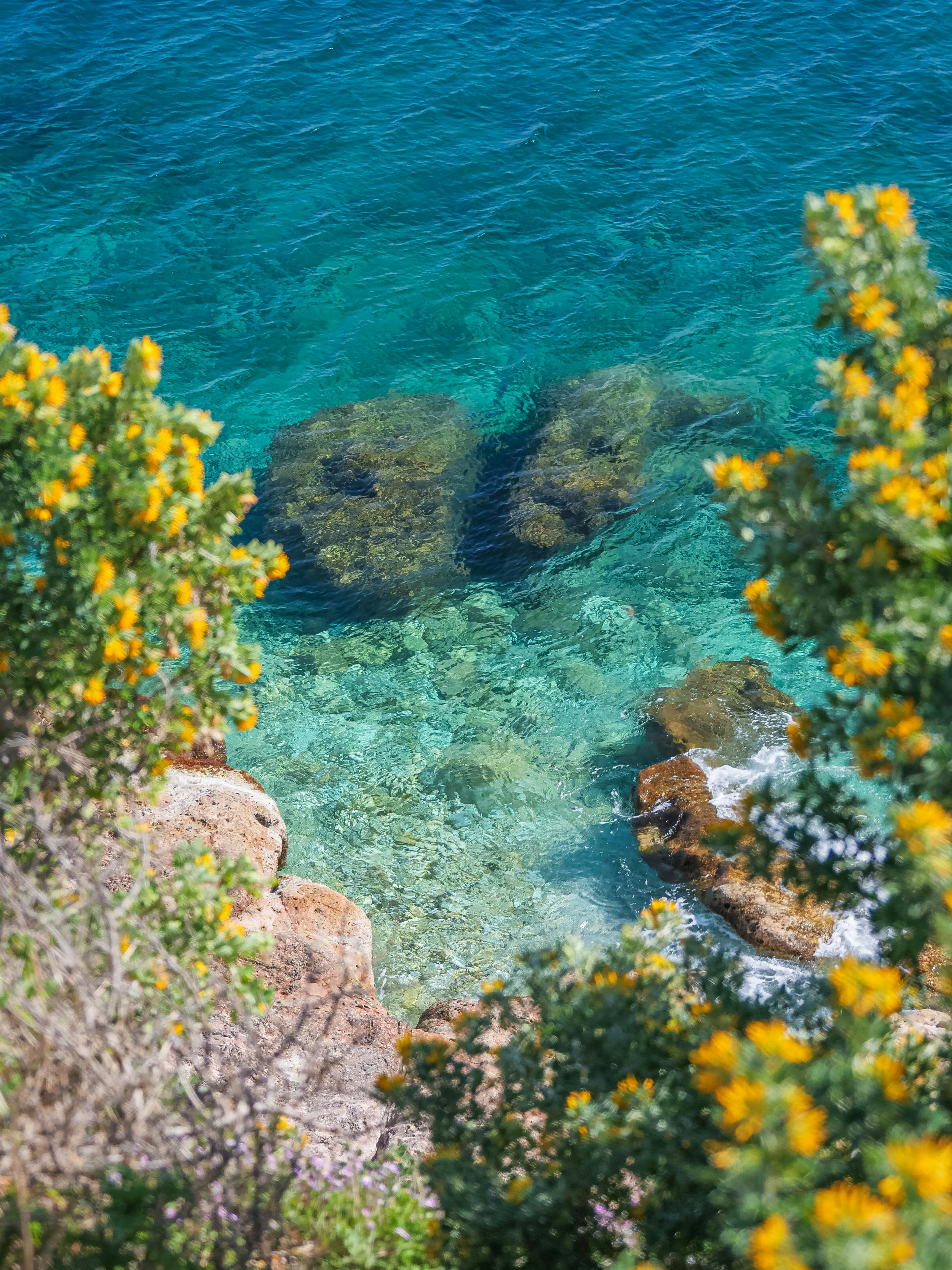 Brain illustration representing neurological changes in dementia