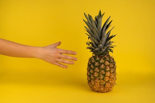 Gratis stockfoto met ananas, anoniem, artikel