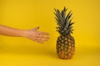 Anonymous person reaching for pineapple