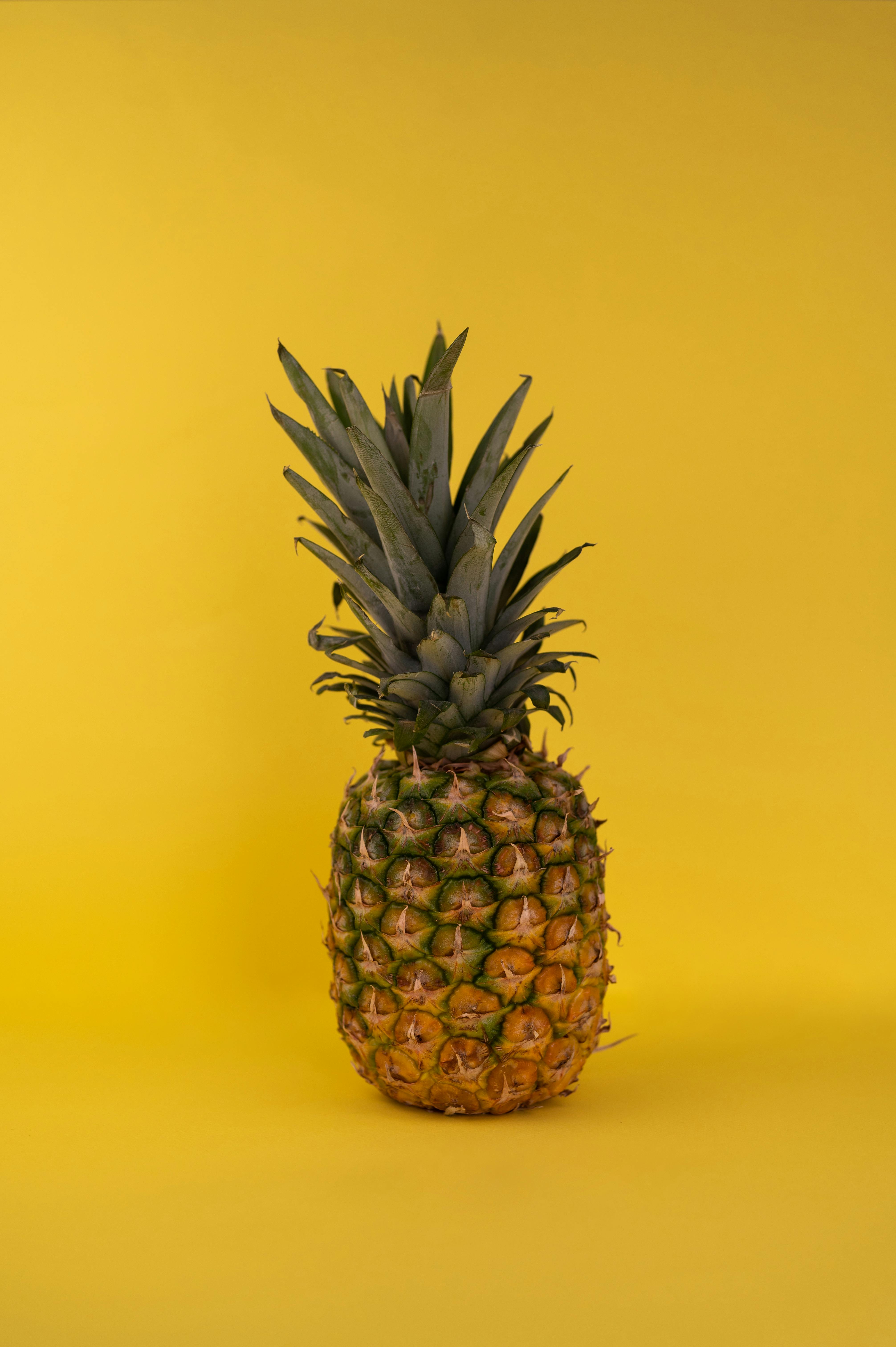 Ripe tropical pineapple in studio · Free Stock Photo