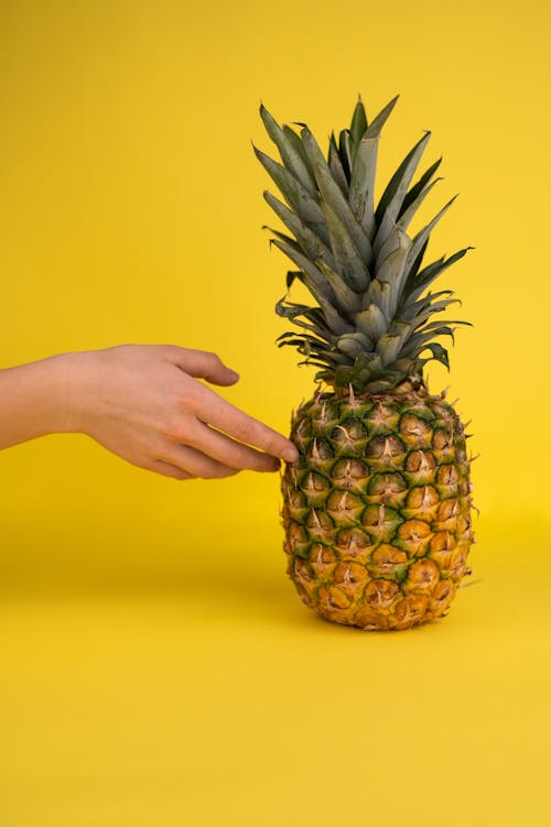 Crop anonymous person touching brown skin of pineapple with green leaves placed on yellow background in light studio during ripening season