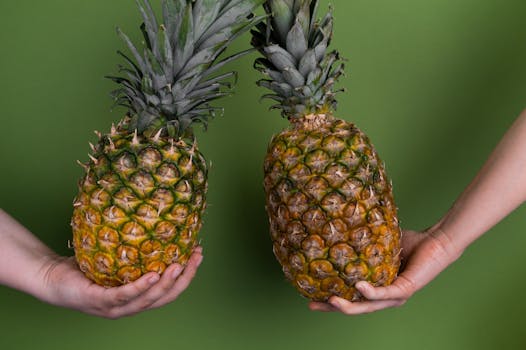 Crop unrecognizable people with whole ripe pineapples for healthy diet in hands standing on green background in modern light studio
