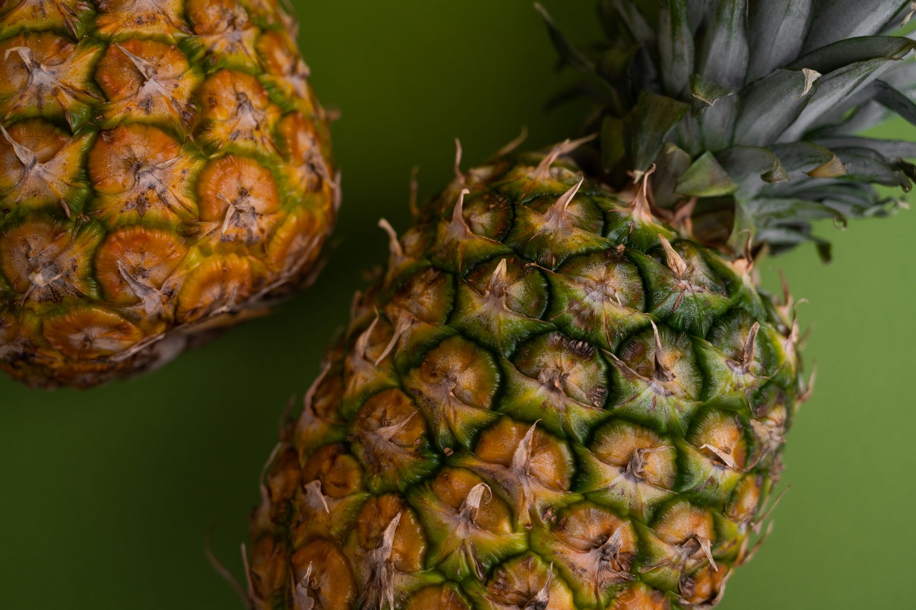 Person holding a ripe pineapple smiling after picking it at a market