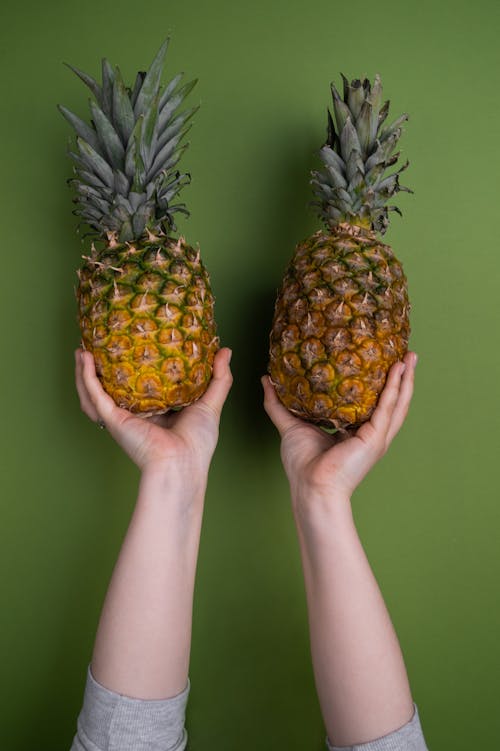 Crop person with pineapples on green background