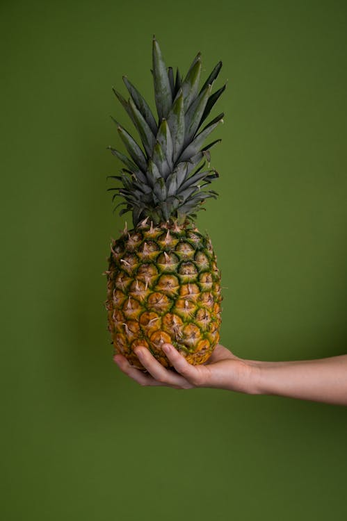 Crop unrecognizable person with pineapple · Free Stock Photo