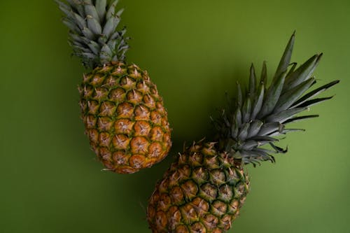Ripe unpeeled pineapples with green leaves placed on monochrome green background in studio