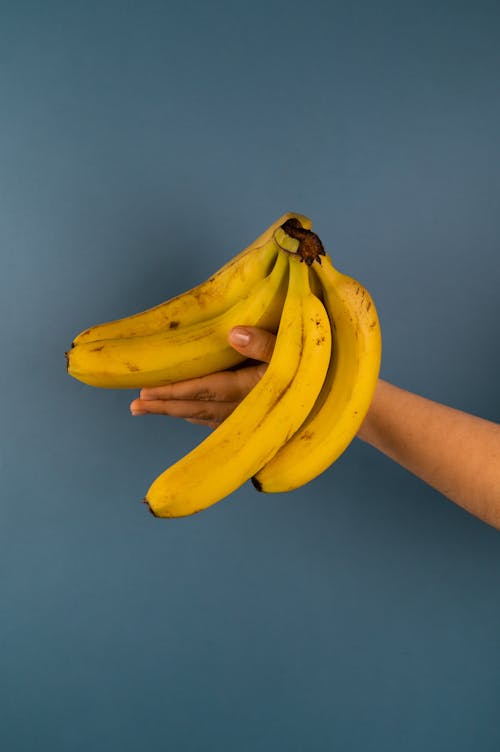 Free Crop unrecognizable person showing bundle of delicious fresh bananas with blots on smooth yellow peel on blue background Stock Photo