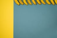 Backdrop of fresh bananas with blots on peel