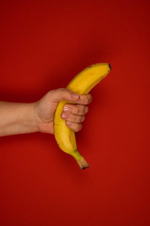 Free Crop unrecognizable person demonstrating delicious ripe banana with stem and pleasant aroma on red background Stock Photo