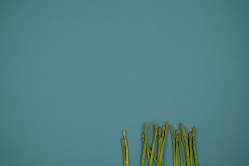 Top view of raw asparagus stalks with ribbed surface in row on green background