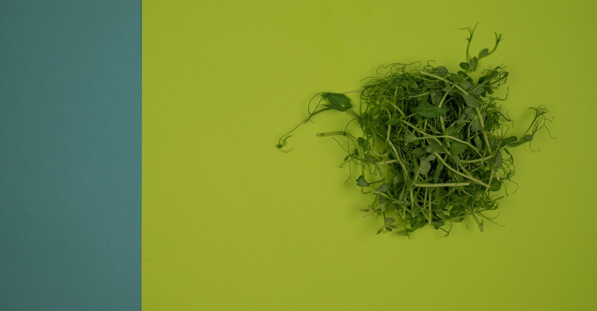 Comment choisir des produits bio de qualité pour votre e-commerce