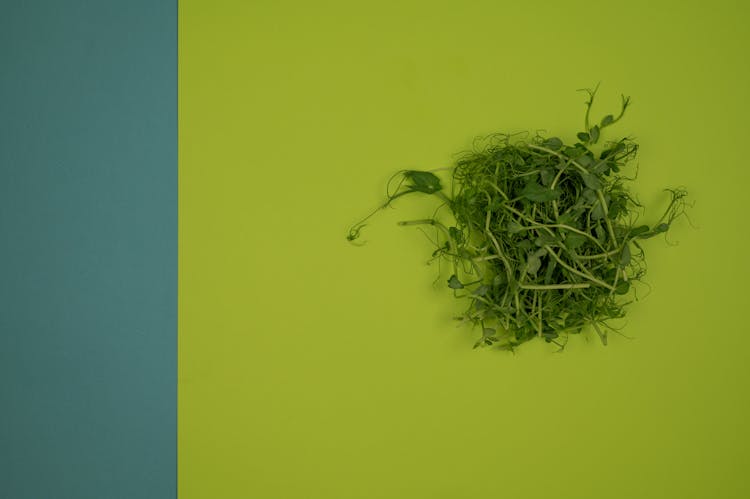 Fresh Cress Leaves On Two Color Background