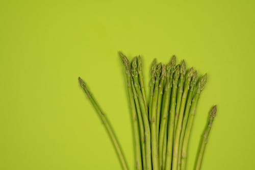 Overhead view of fresh asparagus stalks with wavy tips in row on smooth green surface