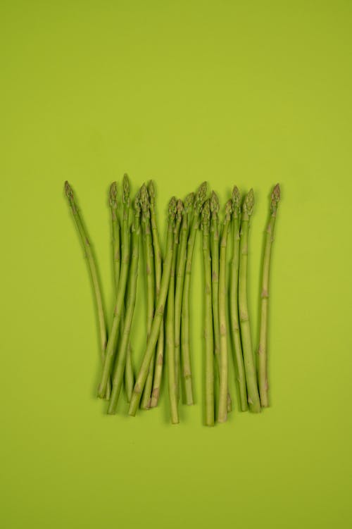 Fresh asparagus stems in row on green background