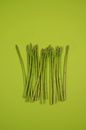 Fresh asparagus stems in row on green background