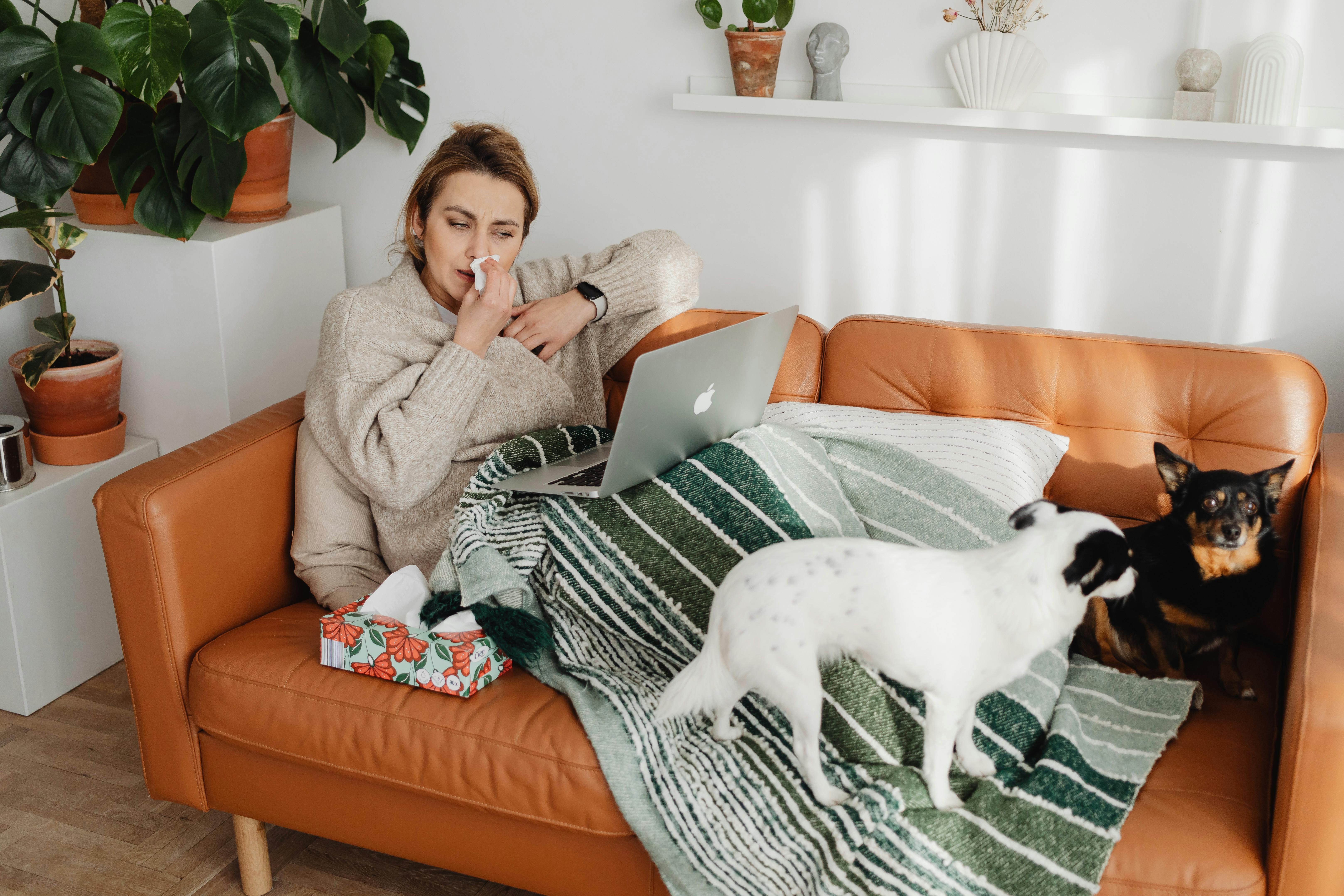 woman on couch with dogs