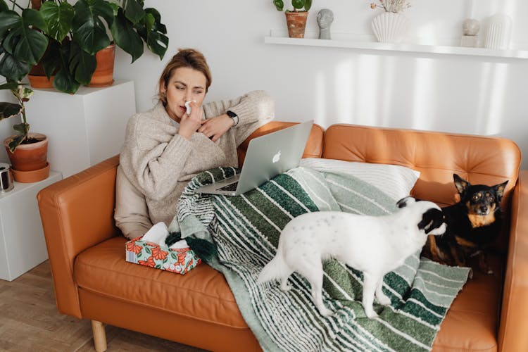 Woman On Couch With Dogs