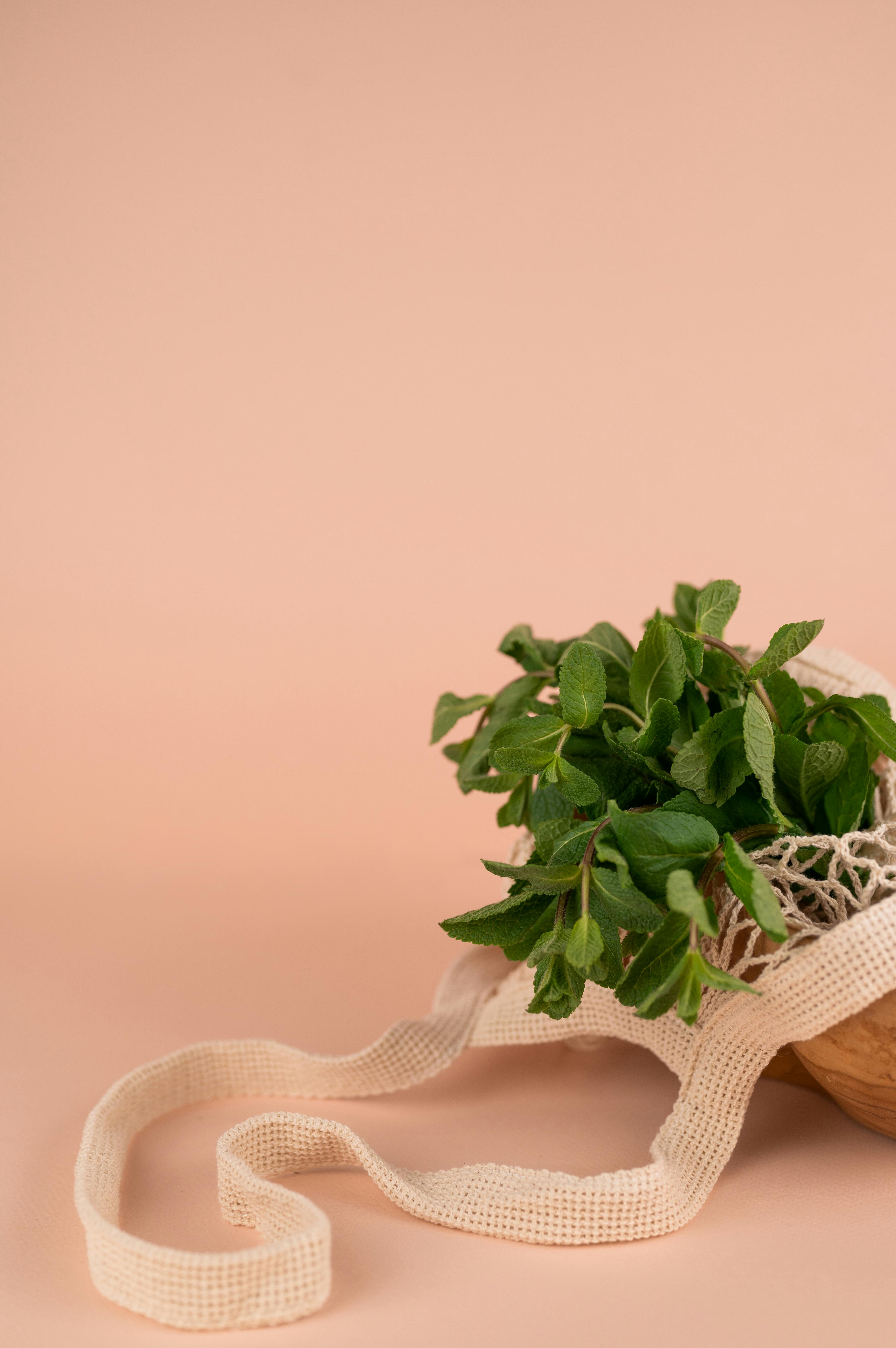 Photo by SHVETS production