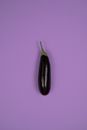 Fresh eggplant with stalk on purple background