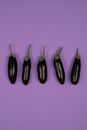 Overhead view of fresh aubergines with smooth peel and stems on calyces on purple background