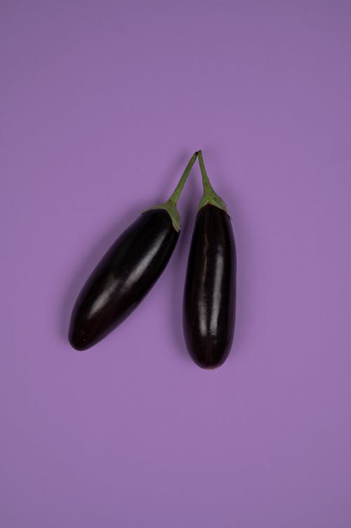 Pair of ripe isolated unpeeled eggplants connected with each other against purple background