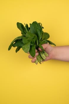A person holds fresh spinach against a bright yellow background, highlighting its vibrant green color.