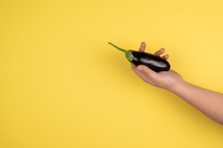 Hand Of Crop Person With Eggplant