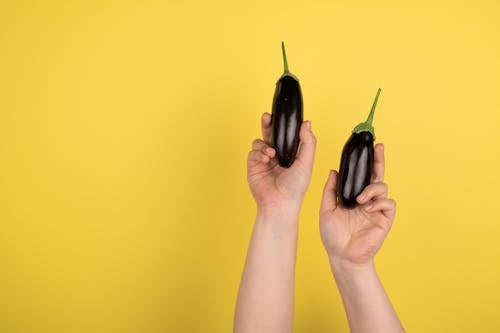 Crop anonymous person lifting up ripe pair of whole eggplants against yellow background