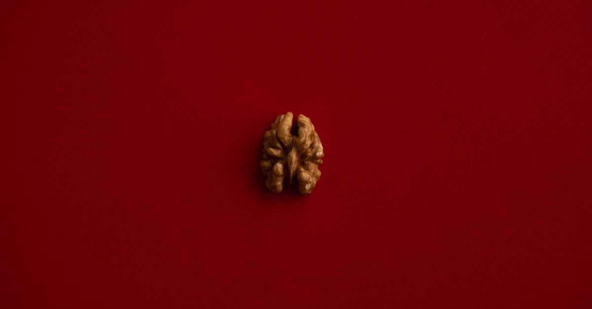 BRAIN food formula goes viral: What science says about the diet trend