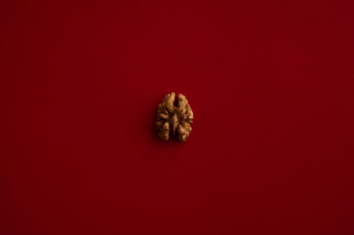 Half of walnut kernel in center of red background